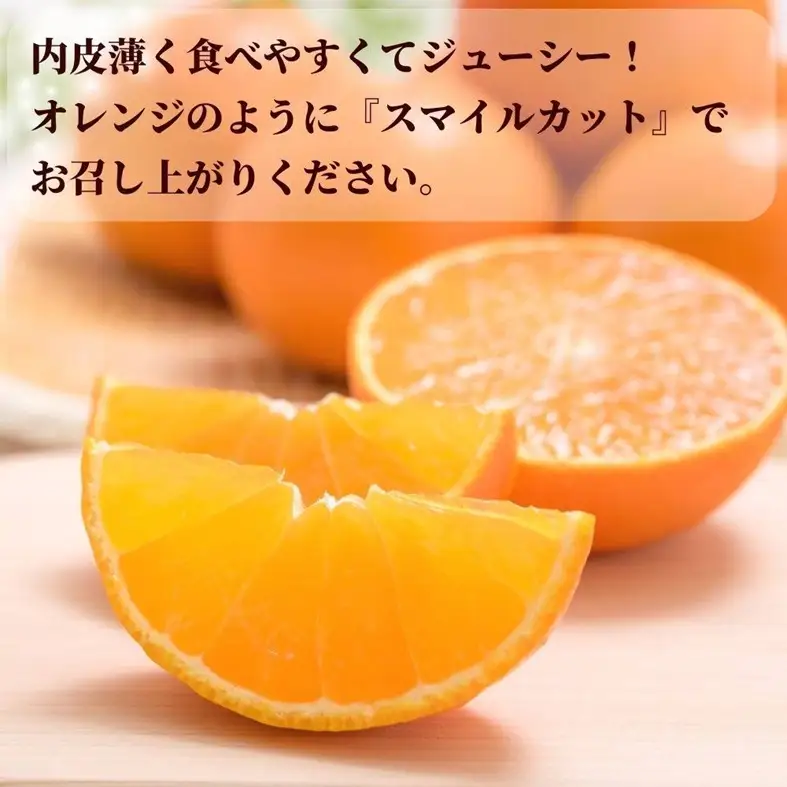【2026年先行予約】みかん 愛果28号 8〜12玉 Lサイズ以上 贈答用 紅まどんな同一品種 【2026年12月以降順次発送予定】 愛媛 数量限定 愛媛県産 人気 柑橘 フルーツ 国産 おすすめ 伊予市｜C183