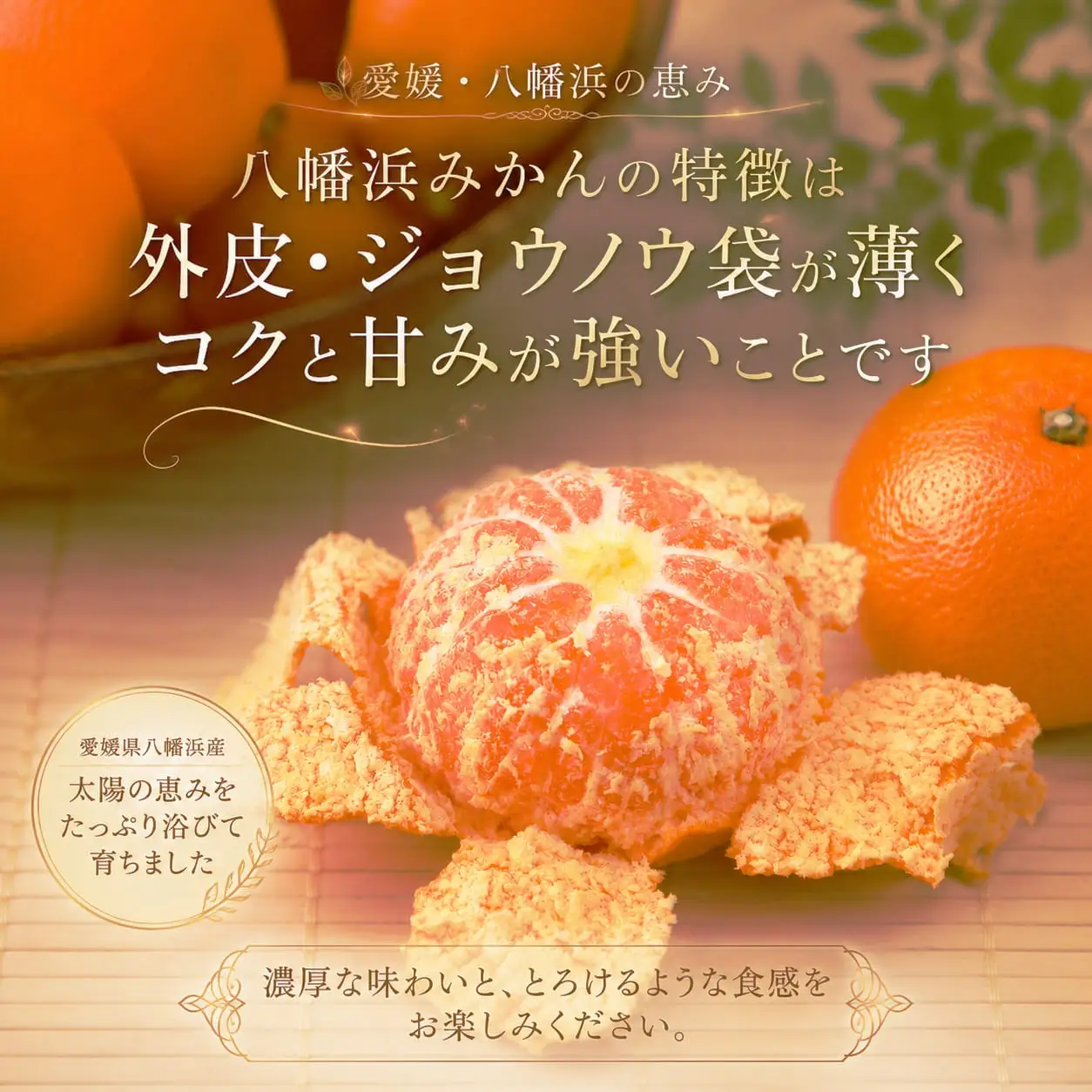 【先行受付】M、Sサイズでお届け・濃厚な味わい! 井上農園「南柑20号」約5kg 【C39-12】【1245424】 YWTF005