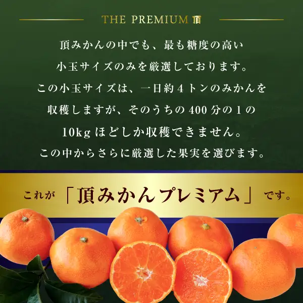 【先行受付】三代目の頂みかんTHEプレミアム【小玉サイズ】3kg【C31-32】【1424406】 YWTAC021