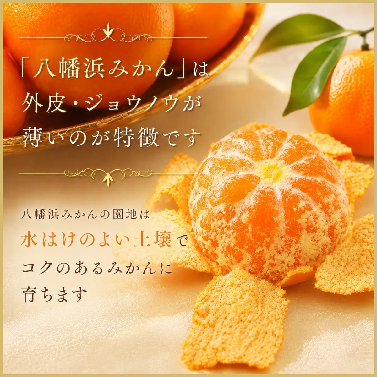 【先行受付】極撰柑橘【雅】光センサー合格品「八幡浜温州みかん」約3キロ 【C39-53】【配送不可地域：離島】【1464138】 YWTF028