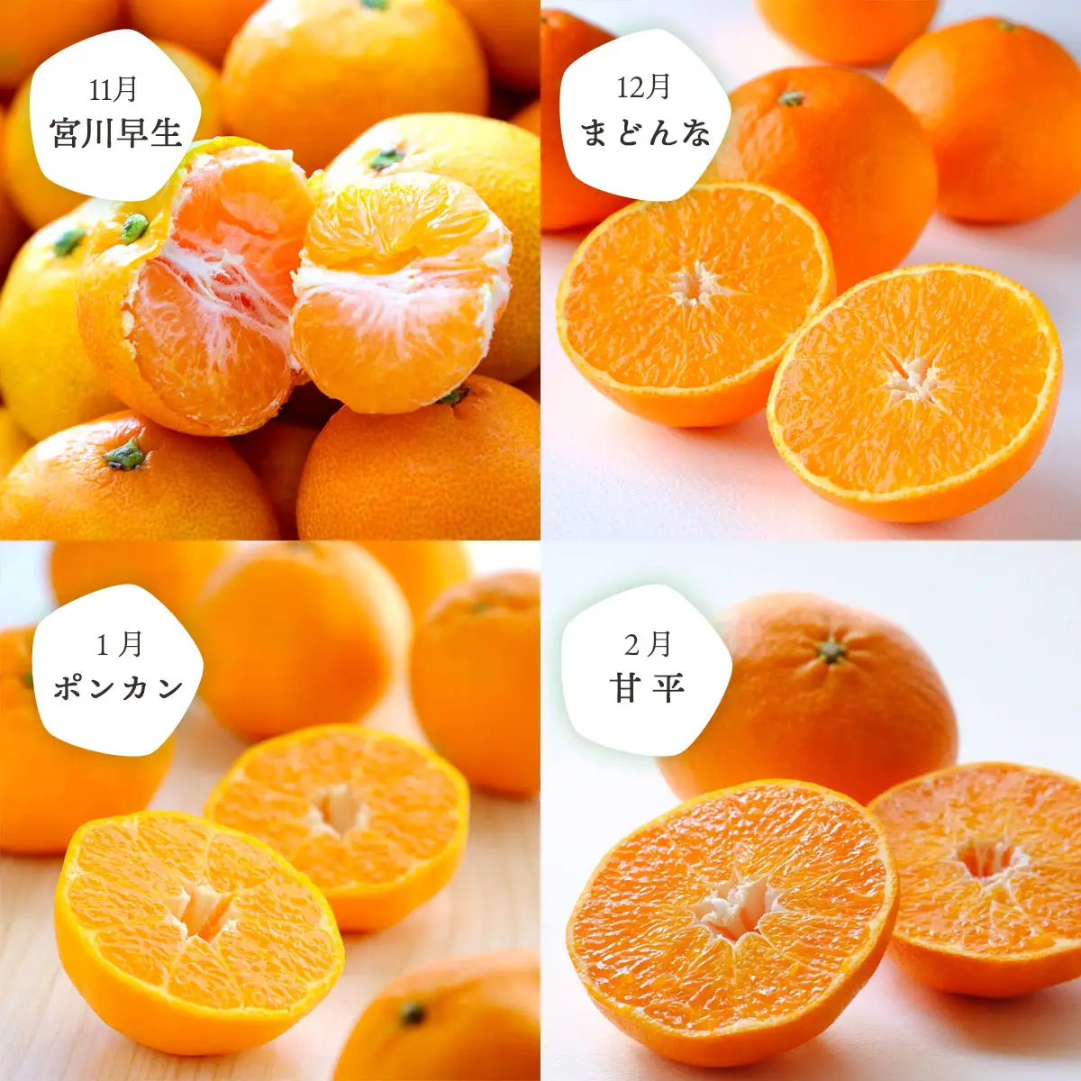 【発送月固定定期便】愛媛の人気品種!かんきつ定期便 11月～2月全4回【H25-154】【4012888】 YWTAP096