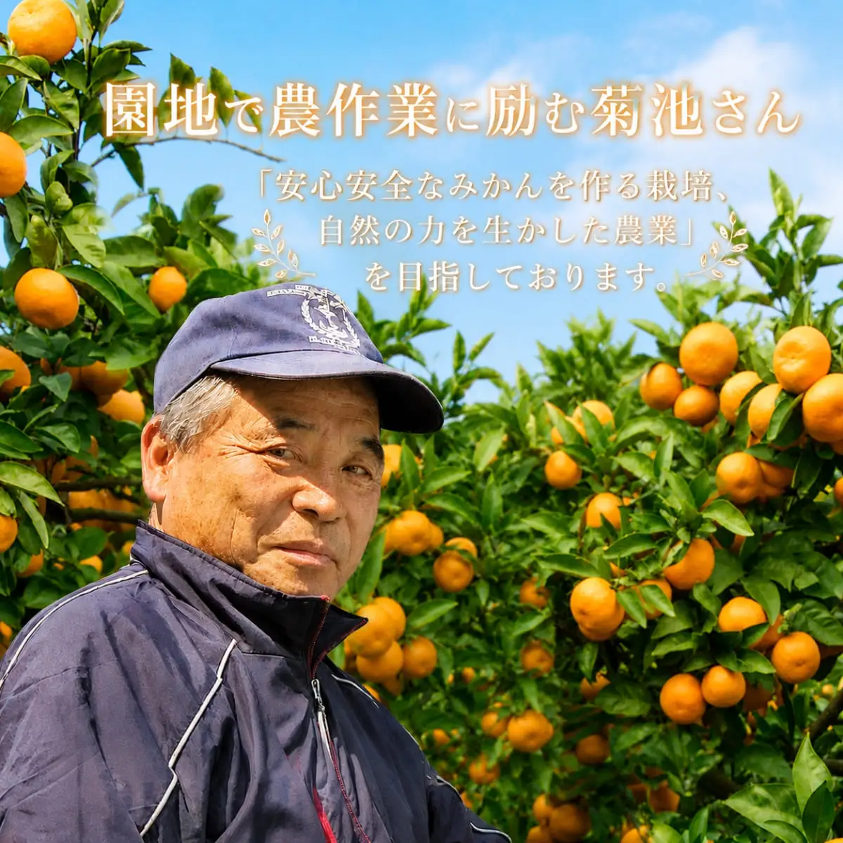 【先行受付】【JAS認証有機栽培】濃厚な味わいの温州みかん!!菊池農園「南柑20号」5kg【C39-23】【1044610】 YWTF011
