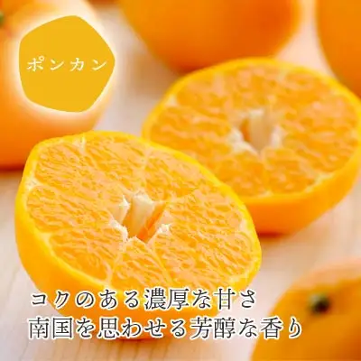 【先行受付】愛媛の柑橘詰め合わせ ポンカン2.5kg・いよかん2kg食べ比べセット【訳あり】【D25-96】【1356827】 YWTAP047