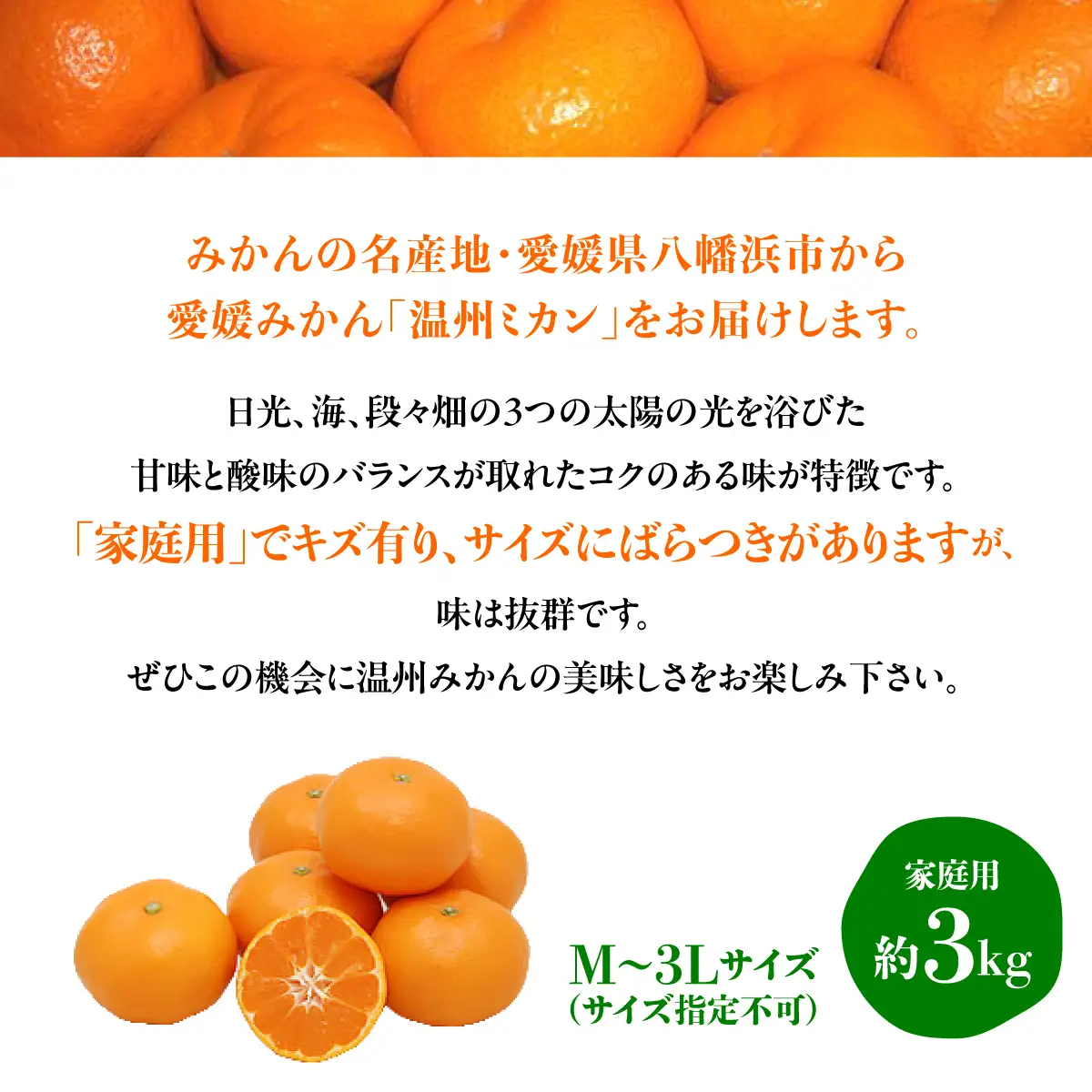 【先行受付】温州みかん【家庭用】約3kg【C76-15】【1539504】 YWTAB010