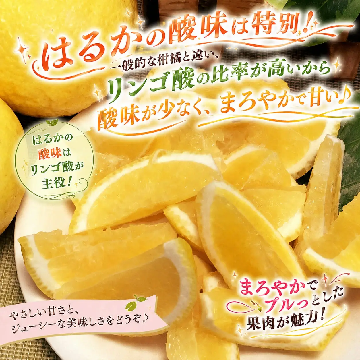 【先行受付】酸味を感じないジューシーな甘さ!「はるか」約5キロ　【C39-7】【配送不可地域：離島】【1280653】 YWTF002