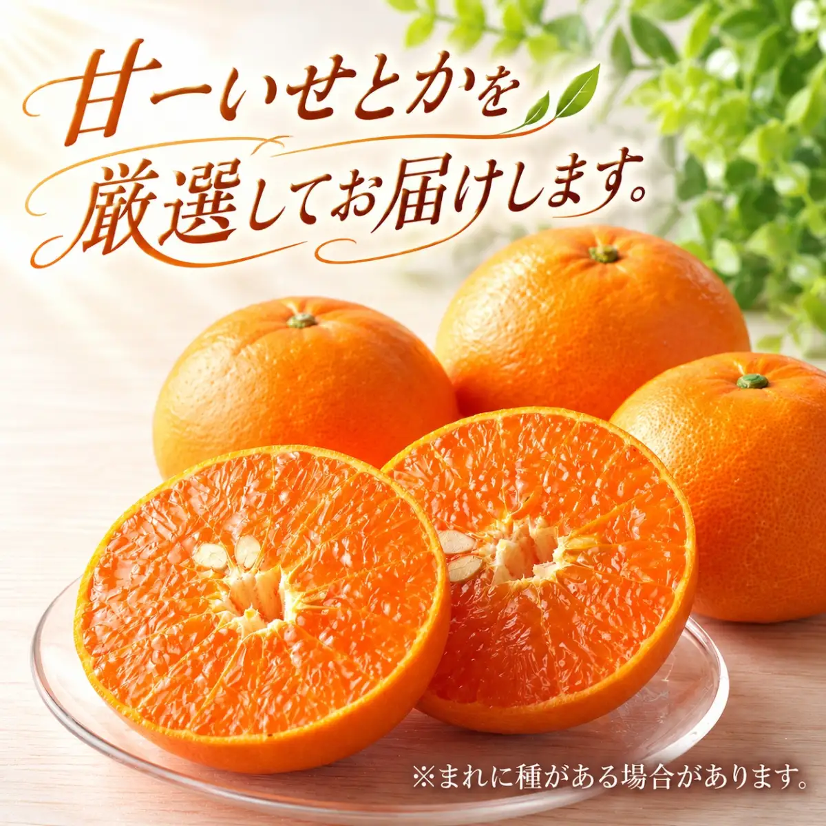 【先行受付】みずみずしい香り・柑橘の大トロ!「姫せとか」約3.5kg【D39-60】【配送不可地域：離島】【1583778】 YWTF035