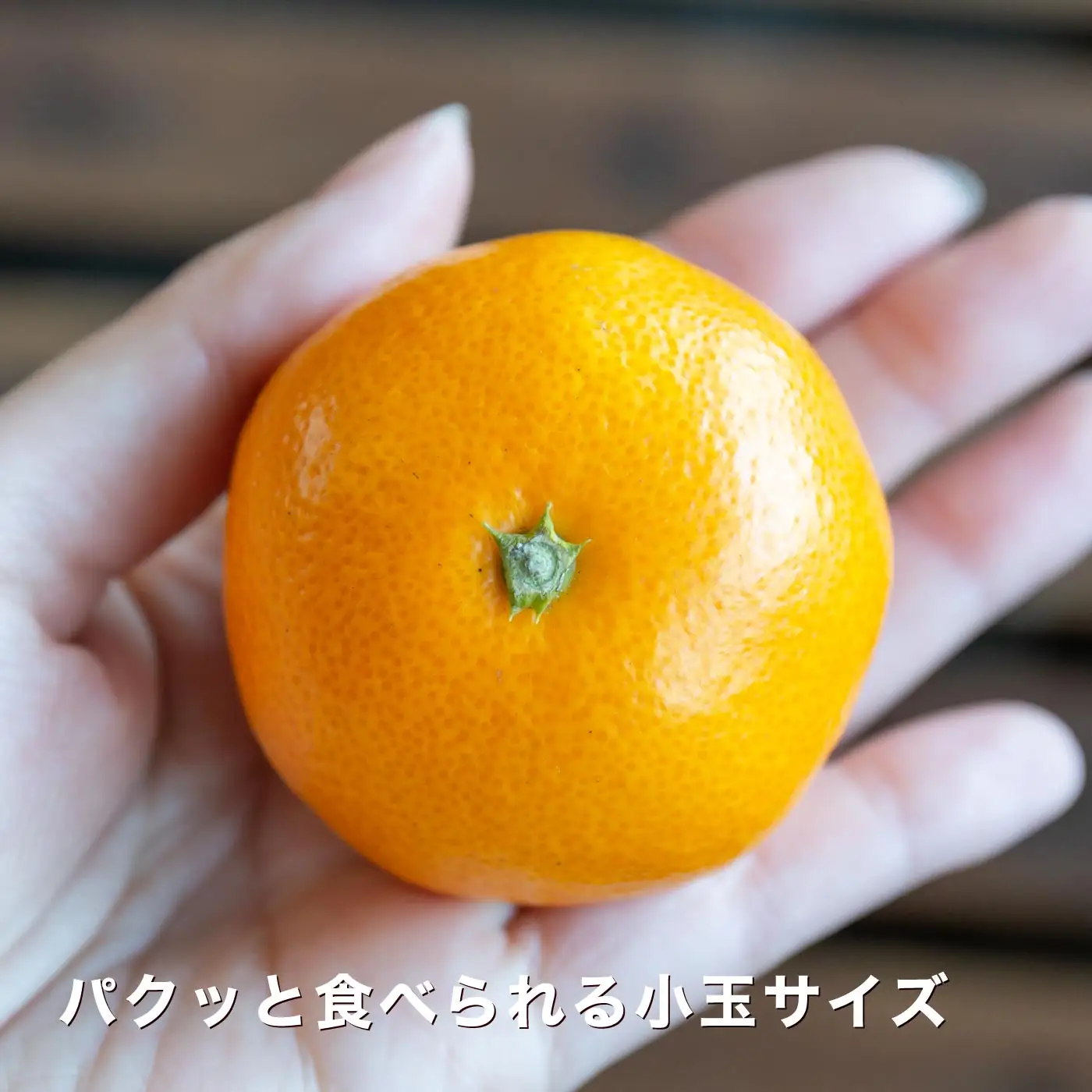 【糖度11度以上 酸1.0以下 糖酸選別品】小玉 愛媛みかん 3kg【C20-57】【1595877】 YWTI052