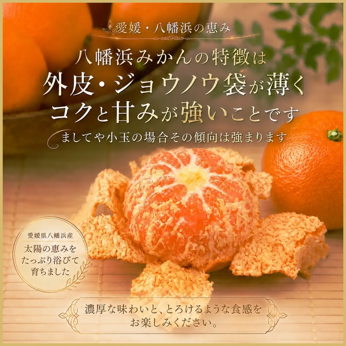 【先行受付】極撰柑橘【雅】光センサー合格品　甘さ際立つ「小玉温州みかん」約4.5キロ【C39-64】【配送不可地域：離島】【1616826】 YWTF039