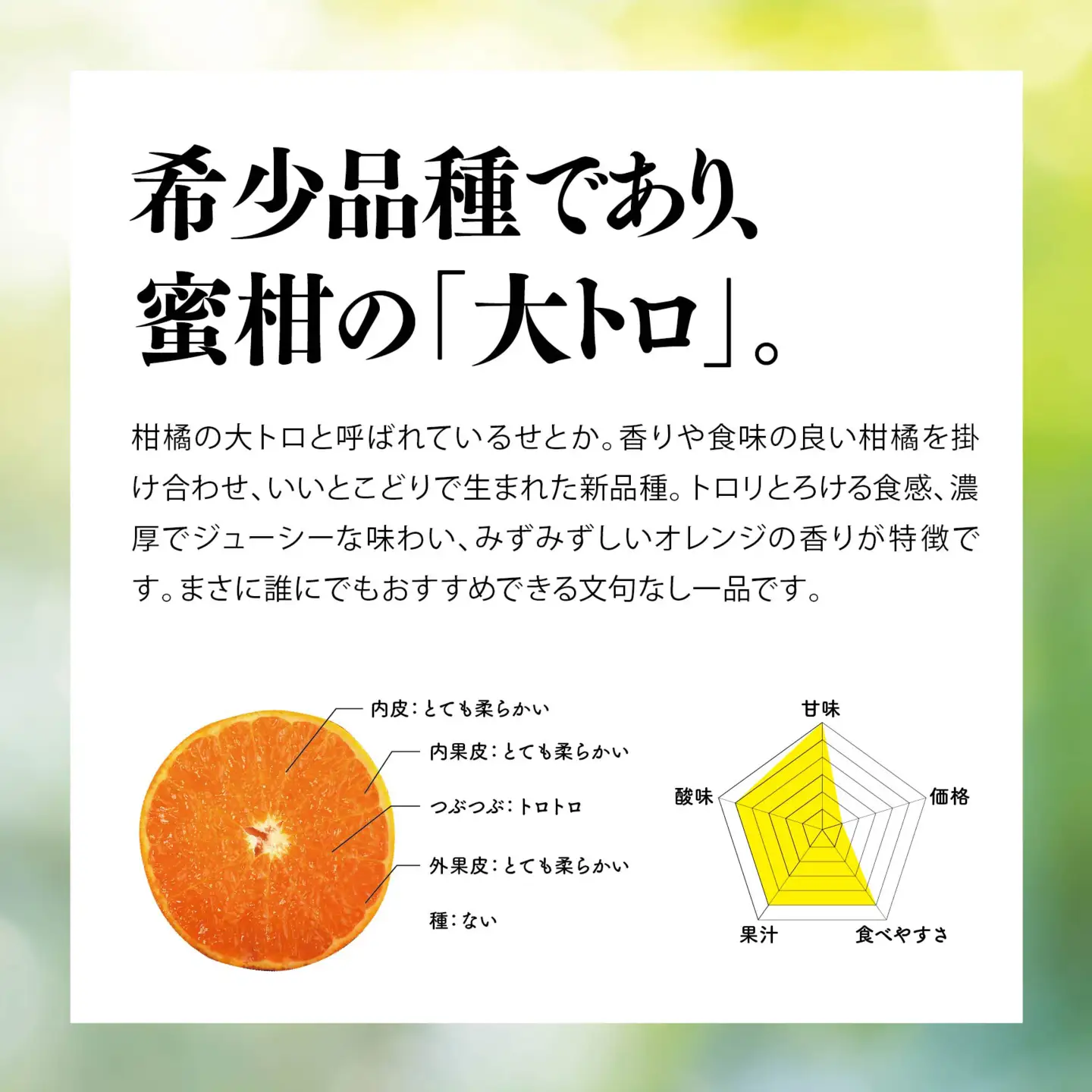 【先行受付】天空の果樹園から届く そらせとか (5kg)【訳あり】【D95-8】【1668516】 YWTAQ008