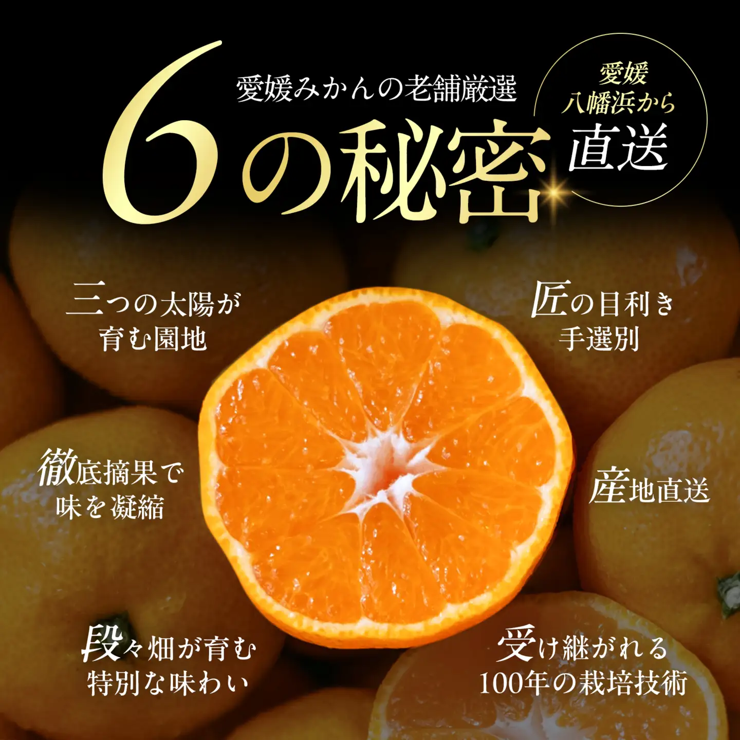 【先行受付】【小玉サイズ限定】五代目が厳選した愛媛みかん 3kg×2箱【愛媛県川上産】【D70-103】【1677113】 YWTK102