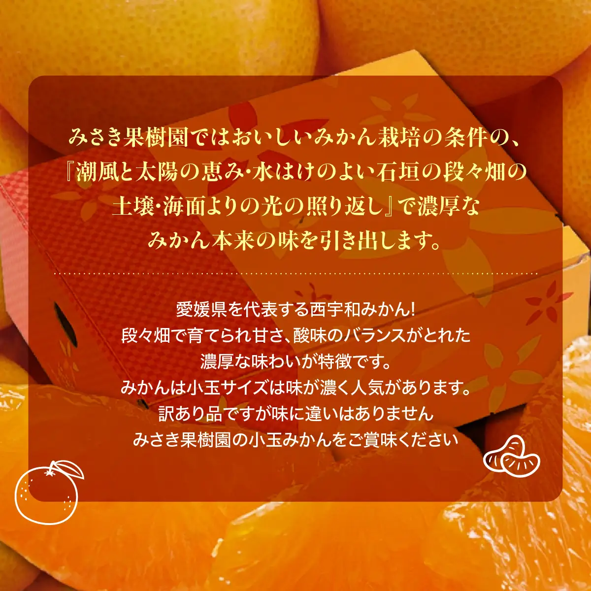 【先行受付】【訳あり】西宇和みかん小玉5kg(小玉3S～Sサイズ込み)【C21-46】YWTBC027