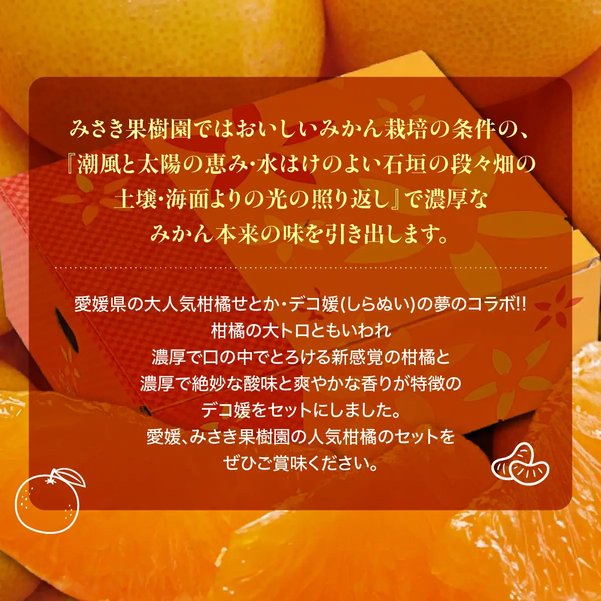 【先行受付】みさき果樹園の大人気せとか・デコ媛各2kg【C21-60】YWTBC041