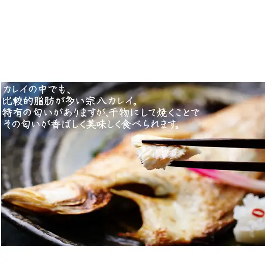 【定期便】計6回 軽石干し北海道産宗八カレイ1kg（5尾入り）
