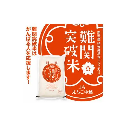 米 令和7年産新潟県産コシヒカリ 難関突破米 精米5kg なんかん米