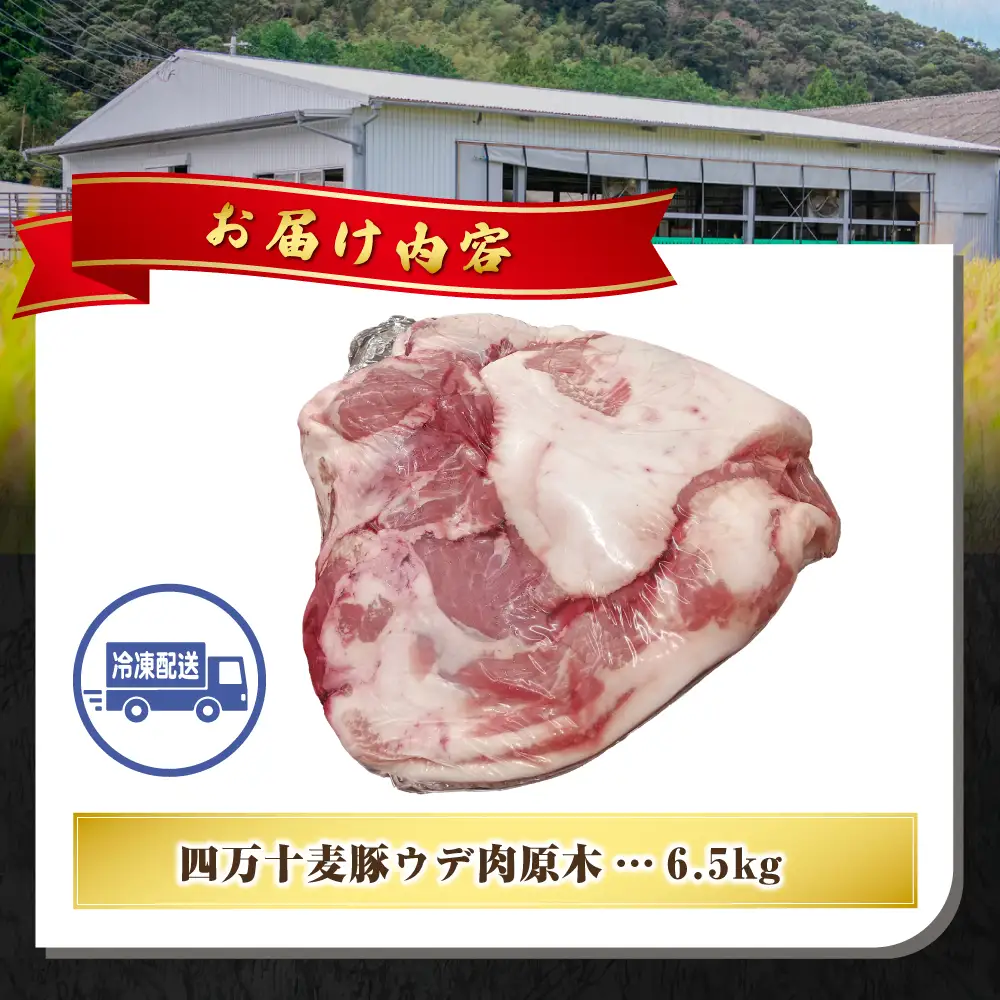 【期間限定】四万十麦豚 ウデ肉原木 約6.5kg／Ahc-A27 原木肉 ブロック肉