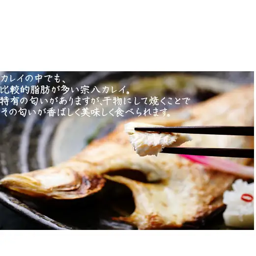【定期便】計3回 軽石干し北海道産宗八カレイ1kg（5尾入り）
