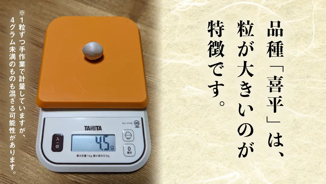 【先行予約】 喜平 ぎんなん 150g (1粒4.0g程度・特大サイズ) 【2026年10月中旬より発送開始】 