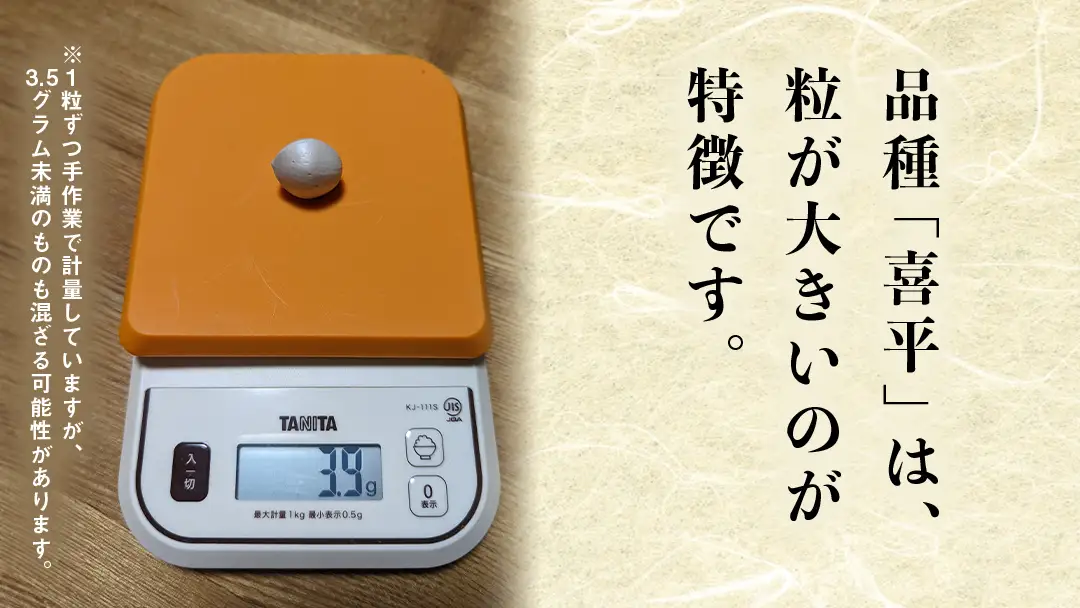 【先行予約】 喜平 ぎんなん 150g (1粒3.5g程度・大サイズ) 【2026年10月中旬より発送開始】
