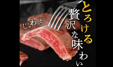 松阪牛 サーロインステーキ 200g  牛肉 ステーキ【2-63】