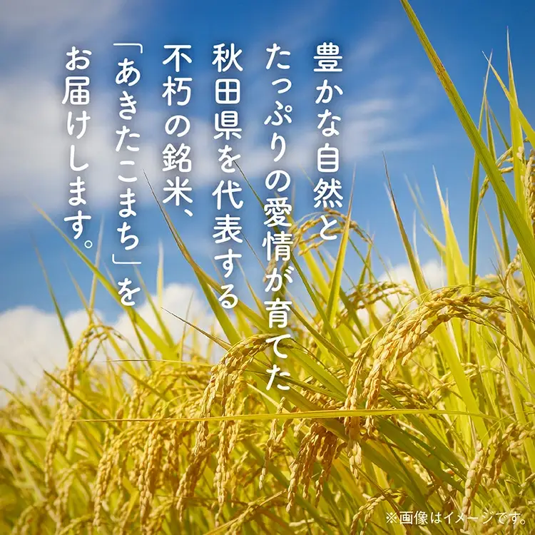 【定期便3回】潟上市産あきたこまち（精米）5kg × 3ヶ月【鐙惣米穀店】