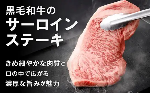 黒毛和牛サーロインステーキ 約500g（250g×2枚） お肉 肉 牛肉 黒毛和牛 にく ニク ステーキ サーロイン 冷凍 福岡県 北九州市