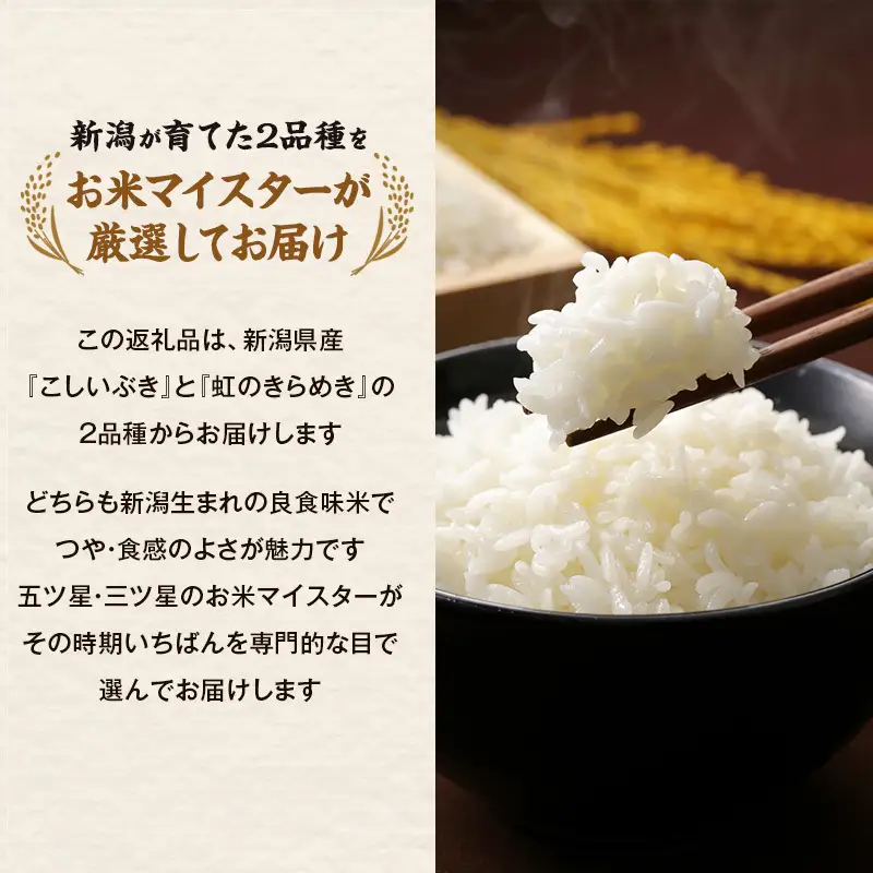【最短3日配送】新潟県産 品種おまかせ 2kg 新潟県 新潟市産 令和7年産 お米 精米 米 ご飯 送料無料