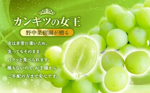 【ふるなびWEEK対象】シャインマスカット 約2kg （3～4房） 【2026年8月上旬～下旬発送予定】 ぶどう 甘み くだもの 果物 果実 フルーツ 葡萄 ブドウ マスカット 香り 酸味 果汁 果樹園