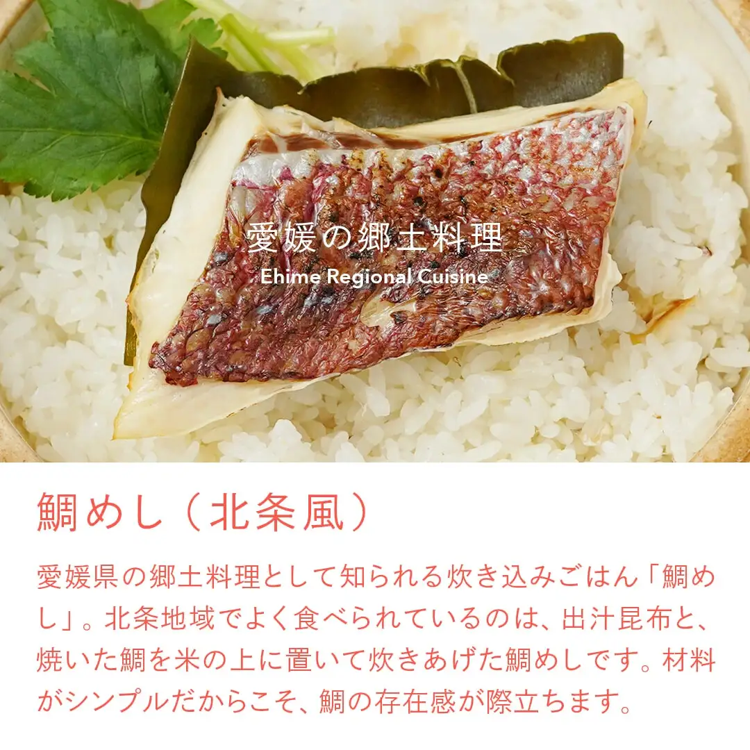 鯛めしの素 [白] SHIRO -北条風- (2 合炊き) 【愛媛産真鯛】|  国産 瀬戸内海産 お取り寄せ 郷土料理 ふるさとの味 高級 本格 炊き込みごはん 炊飯 松山あげ MEDETAIME   贈答 ギフト ぎふと 内祝い お返し お見舞い お供え お中元 お歳暮 プレゼント 愛媛 松山 【FCT027】