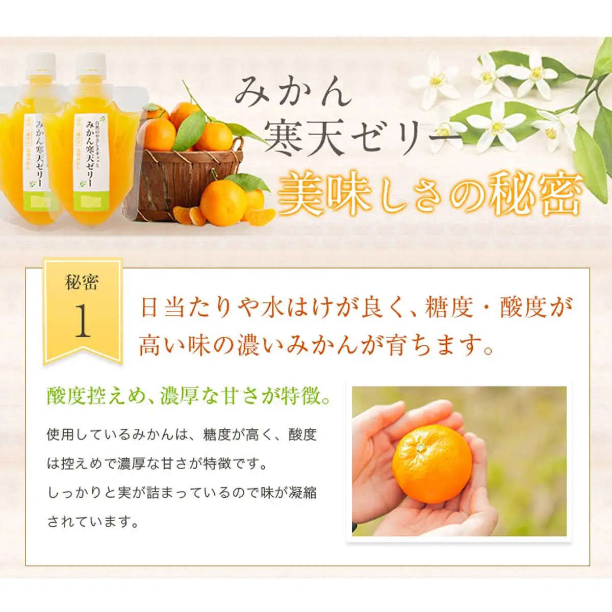 ＜5種の味わい食べ比べ寒天ゼリー＞ 『1か月以内に順次出荷予定』愛媛柑橘セレクション お任せ 贅沢 フルーツ デザート セット 果物 みかん ひんやりスイーツ おやつ ギフト 贈り物 特産品 ミヤモトオレンジガーデン 愛媛県 西予市【常温】ONM0003