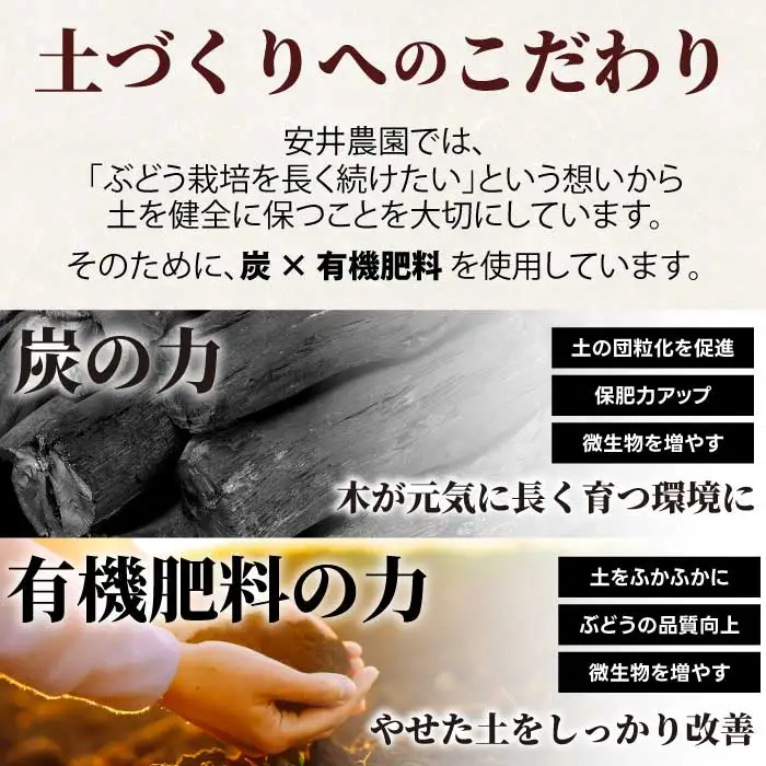 【定期便2回】クイーンニーナ シャインマスカット 各2kg 安井農園 ぶどう ブドウ 葡萄 ピオーネ フルーツ 果物 くだもの 産地直送 世羅 A009-08