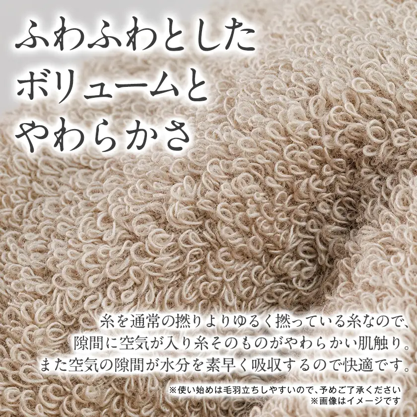 泉州タオル【日本製】甘撚りバスタオル　ライトブルー3枚【1723291】