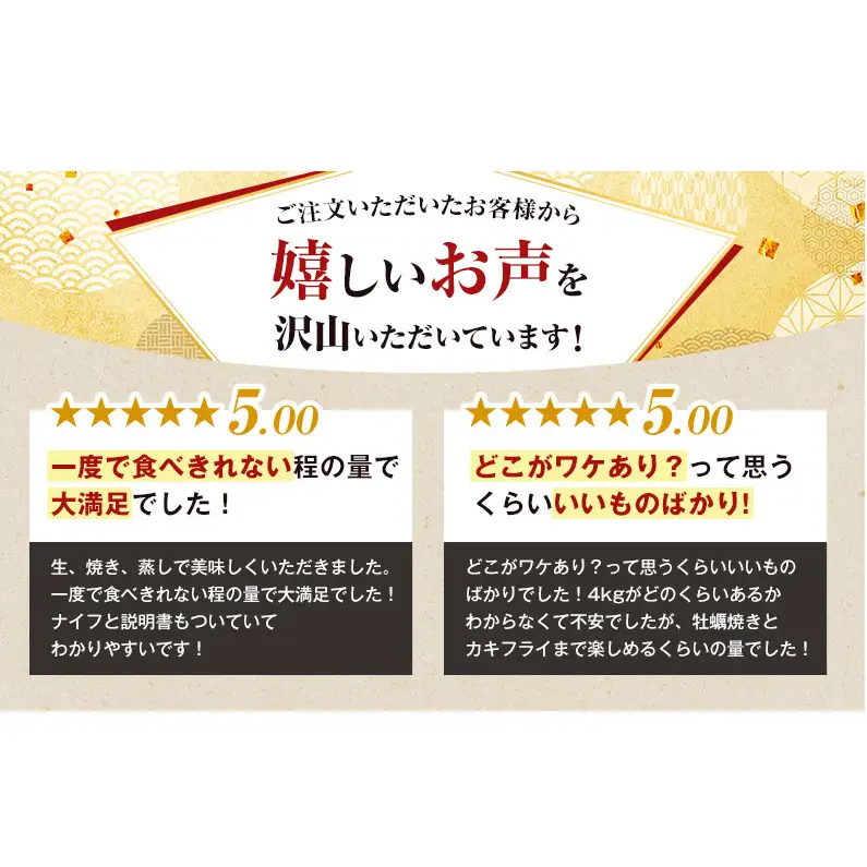 12ヵ月定期便 訳あり ハーフ 規格外 牡蠣 北海道厚岸産 殻付カキ 約2kg（11～25個）カキナイフ付 生食 魚貝類 生牡蠣 かき 生カキ カキフライ マルえもん いびつな形 四季によって違う味わい コクがあり濃厚