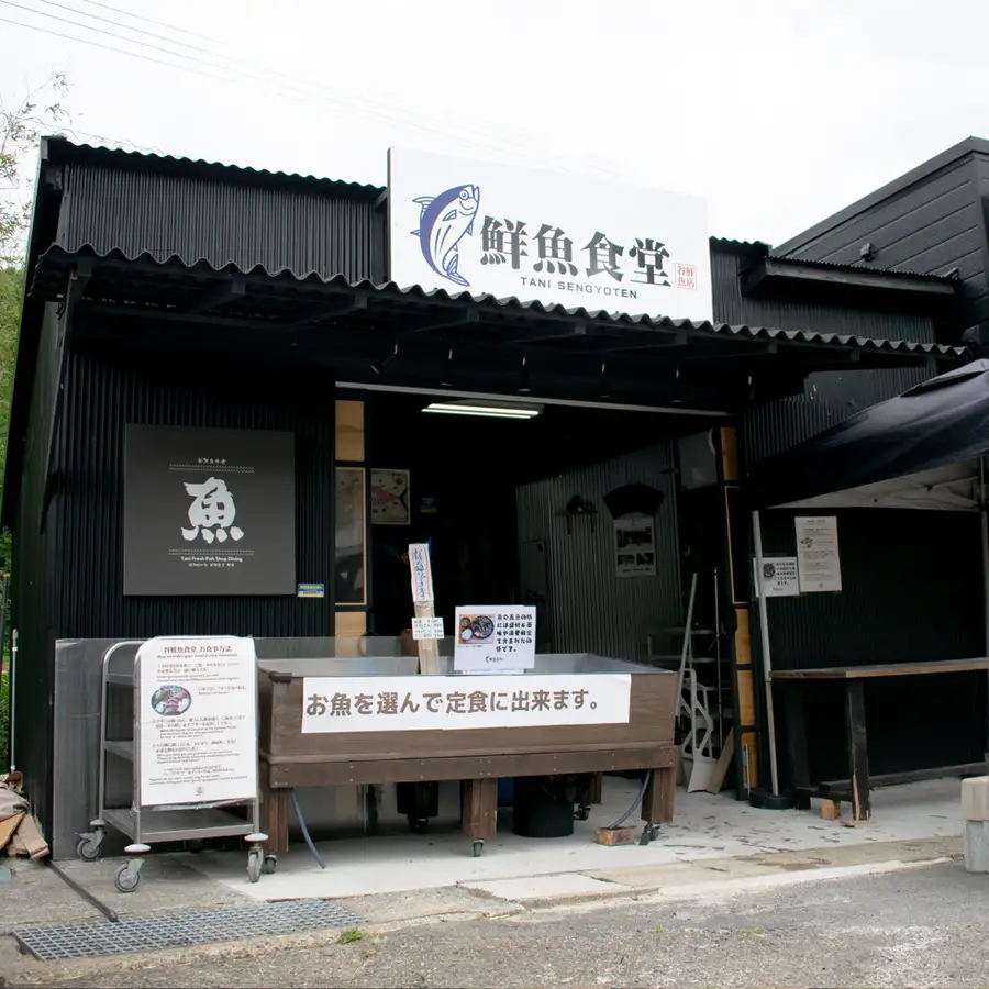 高知県産 鮮魚 詰め合わせ便 2kg 谷鮮魚食堂 刺し身 煮付け 産地直送 生魚 刺身 刺し身