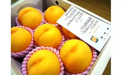 もも 金桃 黄金桃 2.5kg 桃 果物 フルーツ 山形 天童 モモ
