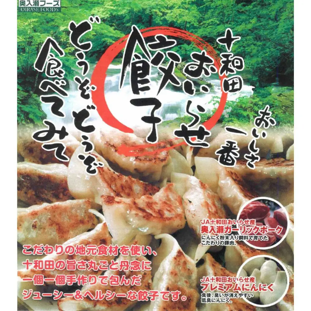 タレ無しで食べる十和田の手作り餃子 10個入り×4パック 十和田市産プレミアムにんにく使用