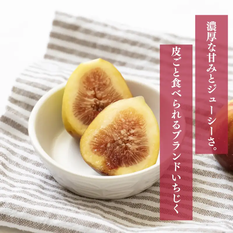 【2026年9月下旬-10月下旬発送予定】福岡県産 とよみつ姫 約1.2kg(約300g×4パック入り)｜いちじく とよみつ姫 KBY