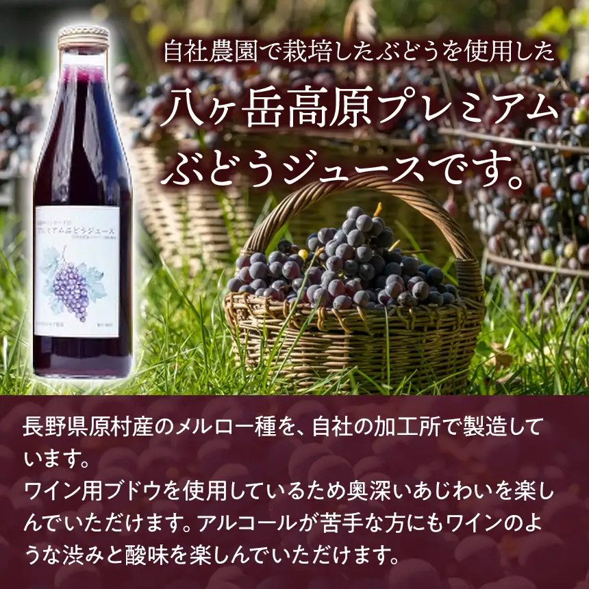 八ヶ岳高原プレミアム 大人の ぶどうジュース メルロー 2本セット
