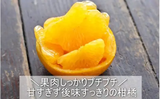 さつき 八朔 10kg / はっさく ハッサク 柑橘 由良町 果物 フルーツ くだもの 産地直送 和歌山 ※2027年3月中旬から4月下旬に順次発送【 ism022-p-10】