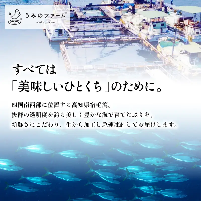 ぶり 1kg 冷蔵 刺身 ブリ 鰤 お刺身 たたき しゃぶしゃぶ 鍋 カルパッチョ 丼 鮮魚 魚 お届け指定日 指定日 お試し 新鮮 魚介 海鮮 海産物 海鮮丼 養殖 刺し身 お刺し身 ブロック フィレ 柵 ギフト 国産 贈答用 お歳暮 お中元 お祝い 人気 サンライズファーム 高知県 四国 宿毛