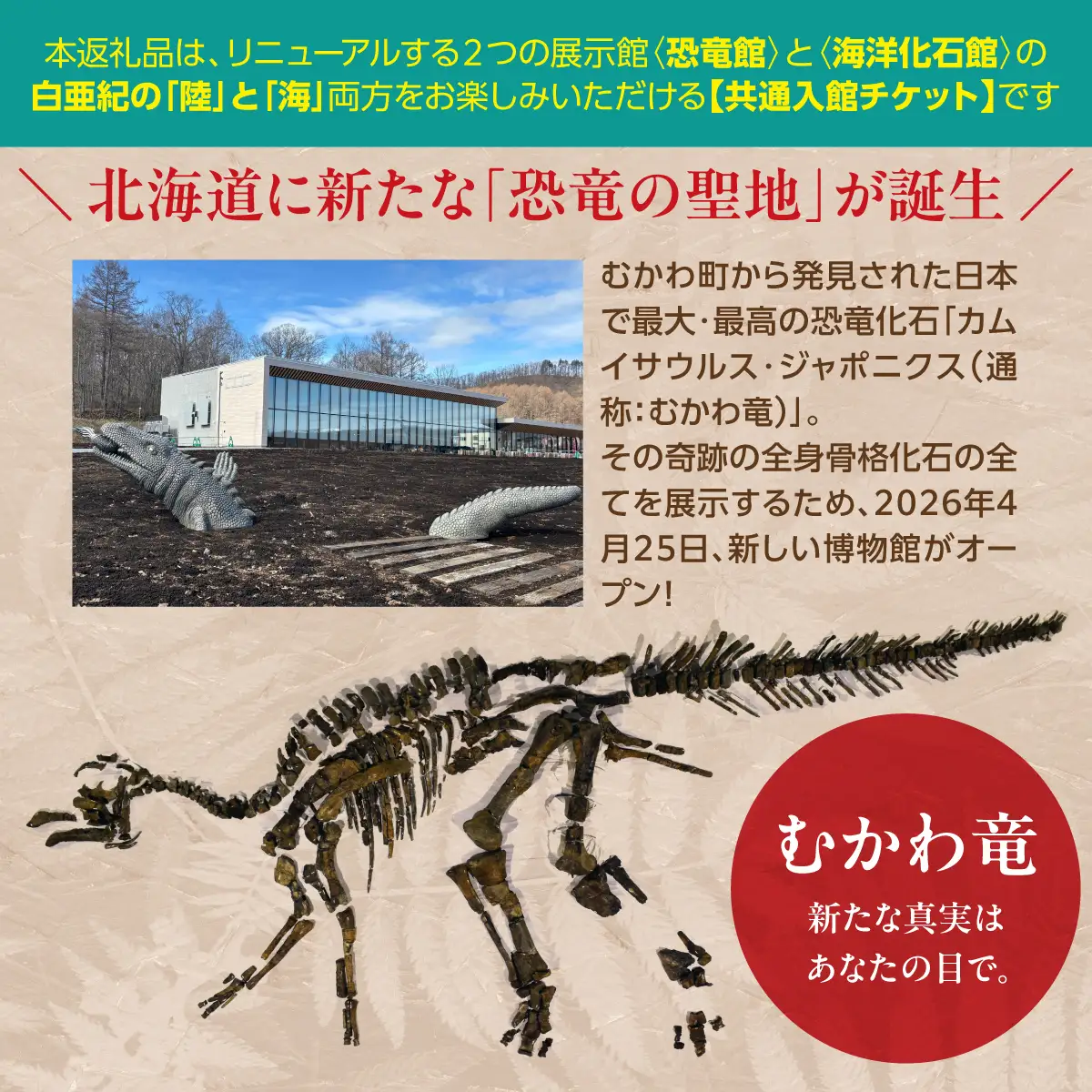 令和8年4月25日OPEN】恐竜×海洋化石！むかわ町穂別恐竜博物館 共通入館