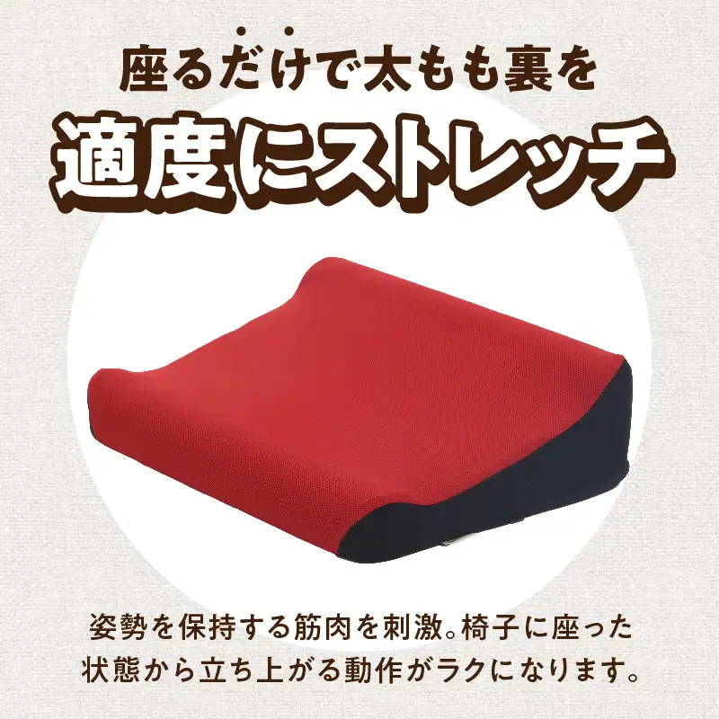 ろっかん式ストレッチクッション ろっかん式 ストレッチ クッション 選べる カラー 立ち上がり サポート 清水ろっかん先生 エルゴノミクスデザイン ハムストリングス 太もも裏ストレッチ 丸菱工業株式会社 お取り寄せ 愛知県 小牧市 送料無料 [023M17]