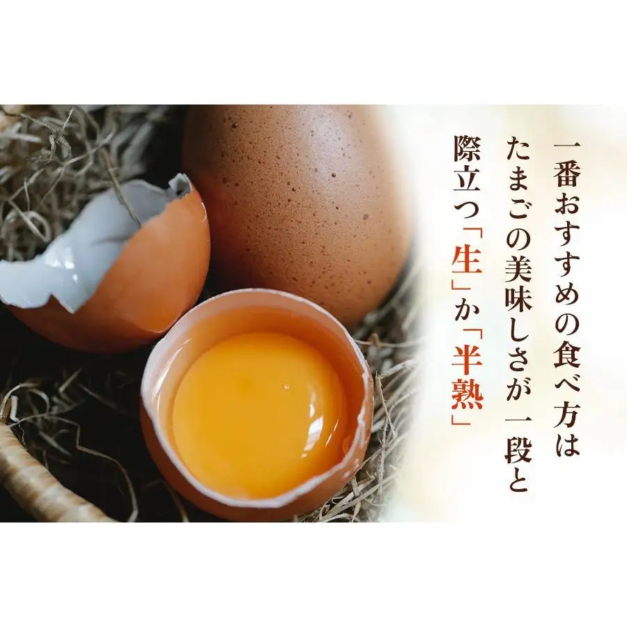 【定期便3回】高原名水 卵 30個｜豊かな自然で育ったアスタキサンチン含有の高原名水卵【感動の甘さと濃さ】栃木県 矢板市