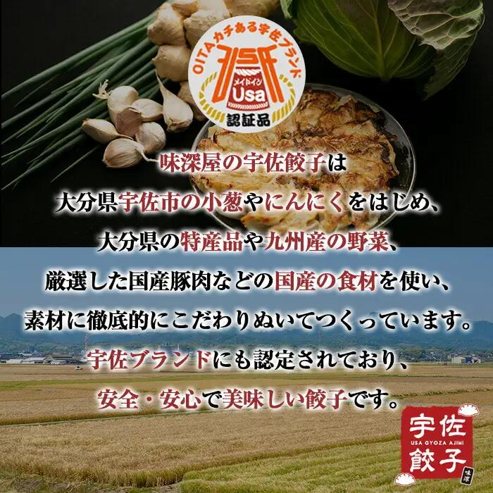 味深屋の宇佐餃子よりどりセット(合計5袋・5種) 餃子 ぎょうざ 簡単 惣菜 おかず おつまみ 簡単調理 焼くだけ 食べ比べ セット【104200300】【ＮＰＯ法人 結び恵会】
