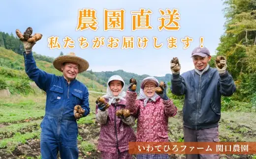 【 厳選品 】 岩手にのへじゃがいも「伝」メークイン （ サイズ混合 ） 5kg ／ じゃがいも 野菜 やさい 国産 岩手県産 二戸市産 芋類 【 2026年9月上旬～2027年2月上旬発送予定 】