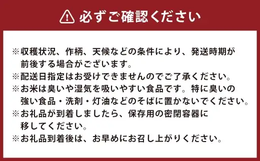 令和7年産 いわてっこ 玄米 10kg（5kg×2袋） ／ 米 お米 ご飯 飯 こめ コメ 産地直送 産地 直送 国産 岩手県産