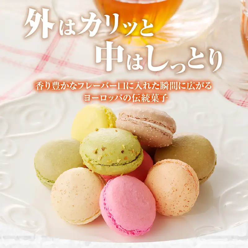 マカロン10個入（10種類）_26-345