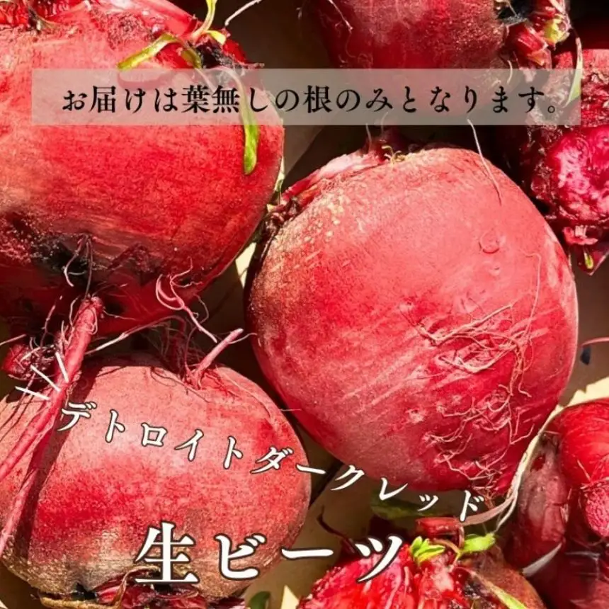 訳あり ビーツ 約10kg｜長野県 飯田市