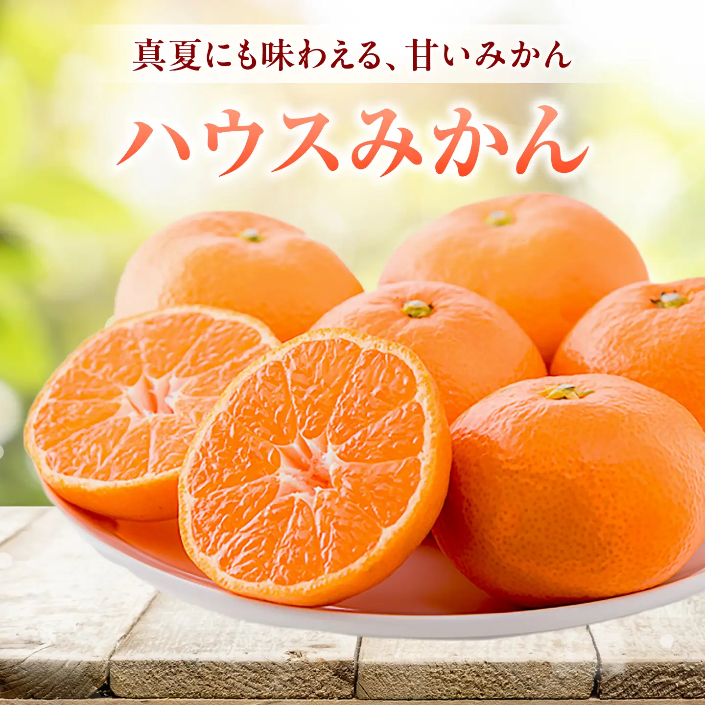 みかん ハウスみかん 約5kg ご家庭用 【7月下旬から9月下旬まで順次発送】 / フルーツ 果物 柑橘 蜜柑 ミカン はうすみかん オレンジ 小玉 甘い 先行予約 約 5kg 愛媛 果汁 人気 おすすめ  / 愛媛県砥部町/株式会社フジ・アグリフーズ[BJBI015]