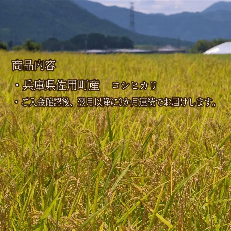 【3ヵ月定期便】兵庫県佐用町産 お米 5kg×3ヵ月 (計15kg) 精米 コシヒカリ