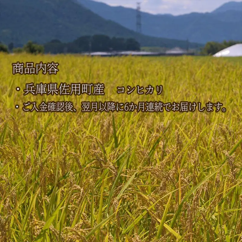 【6ヵ月定期便】兵庫県佐用町産 お米 5kg×6ヵ月 (計30kg) 精米 コシヒカリ